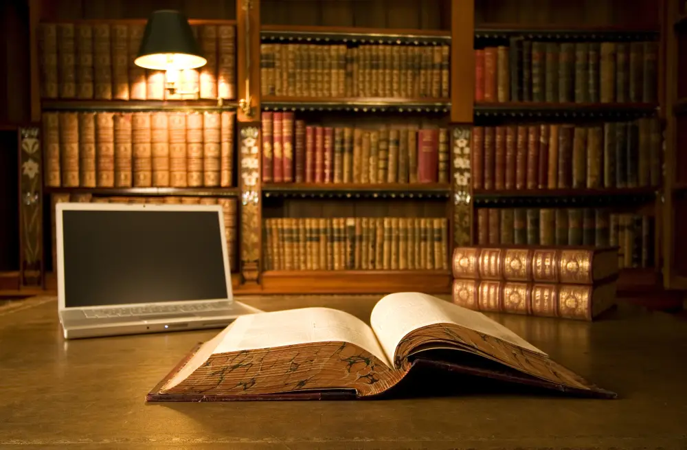 legal solutions practice areas Egypt