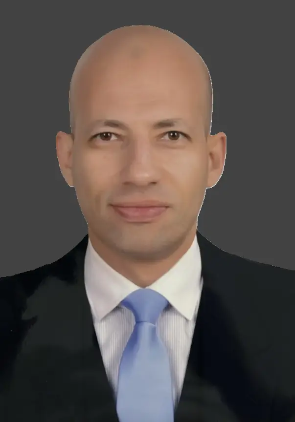 Amr Hemeda Al Majidi Law Firm Egypt