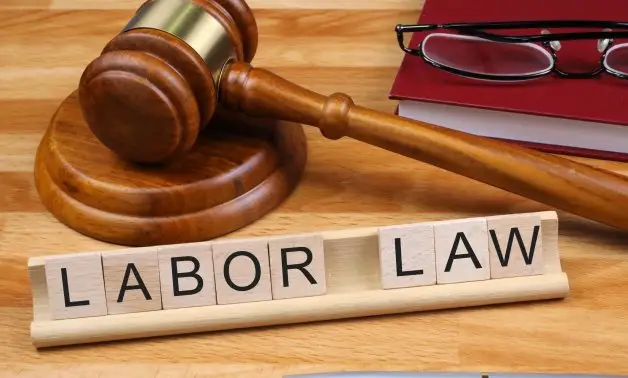 Al Majidi Law Firm new labor law egypt 2025